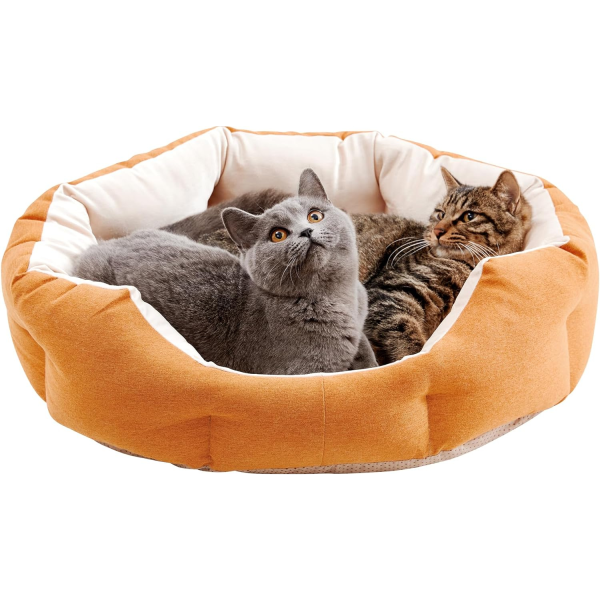 Cat Beds