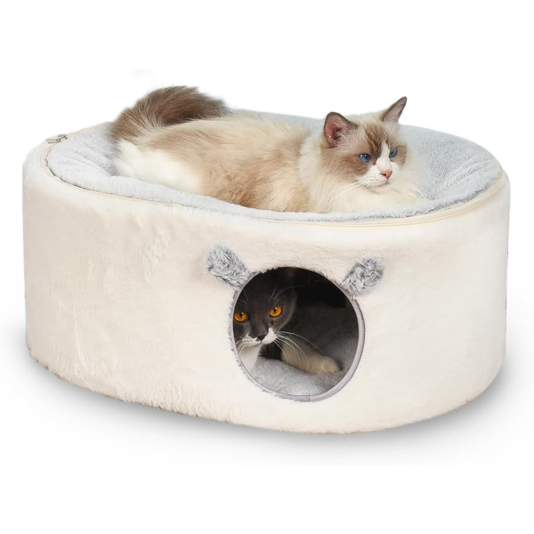 Cat Beds